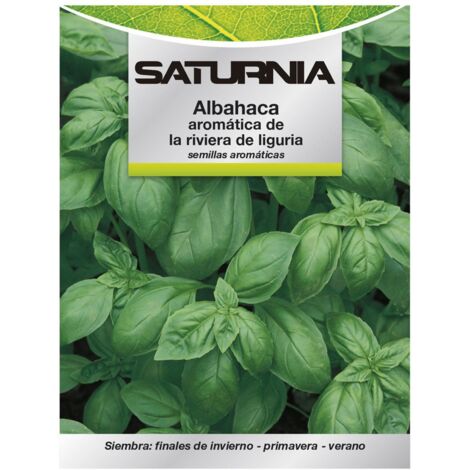 Semillas Aromáticas Albahaca Aromatica (5 gramos) Horticultura, Horticola, Semillas Huerto.