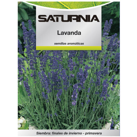 semillas aromaticas lavanda (0.5 gramos) horticultura, horticola, semillas huerto.