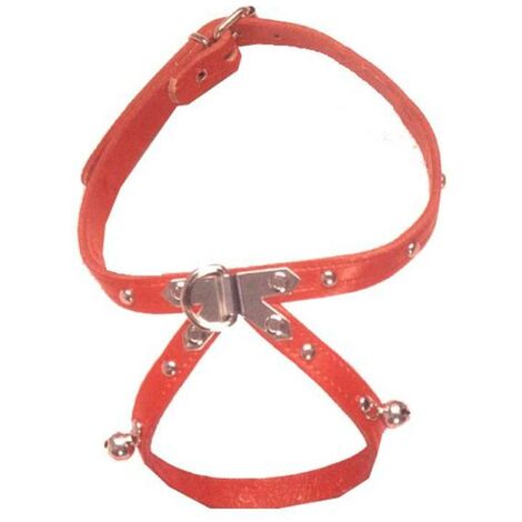 FPLUS collar petral cuero+fornitura perro 450 x 13 mm  02005