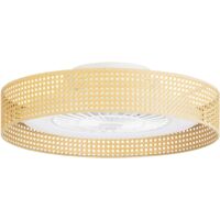 Ventilateur de plafond avec lumière LED 32.7W 1665lm blanc chaud 2700K – Diamètre 66cm – Structure plastique marron – Pour intérieur – Forlight