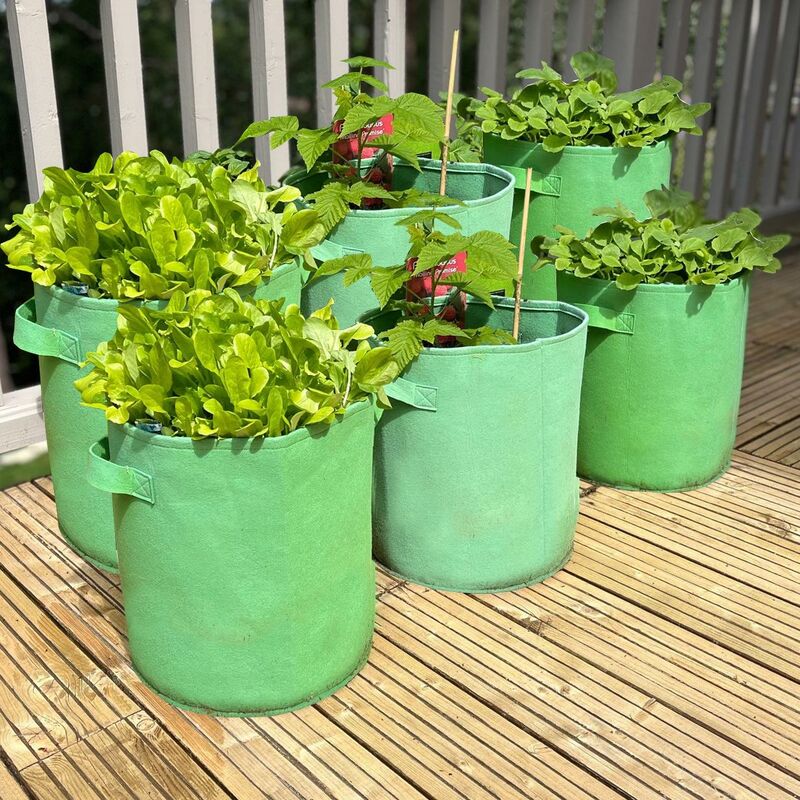 Potato Planter Grow Bags 37 Litre (Set of 2) Non - Woven Aeration Fabric  Pots