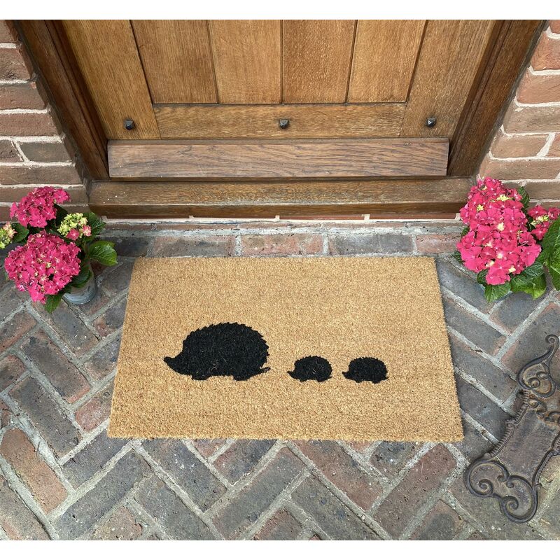 Heavy Duty Boston Brush Scraper Door Mat Wire Frame Coir Entrance Mat  39x59cm