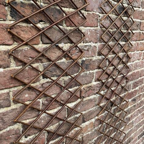 Set of 4 Expanding Willow Trellis (180cm x 30cm)