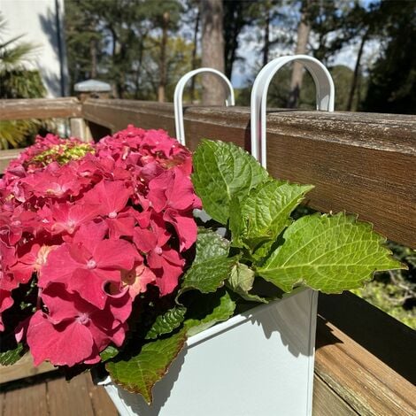 Ice White Balcony Hanging Planters (Set of 2)