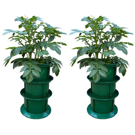 Platform Potato Growpot Planter (Set of 2) (1/5)