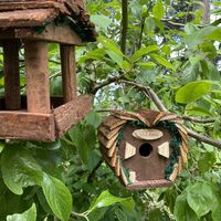 Hanging Wooden Bird Table & Love Bird Nest Box Set