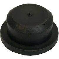 Lawn Roller Bung