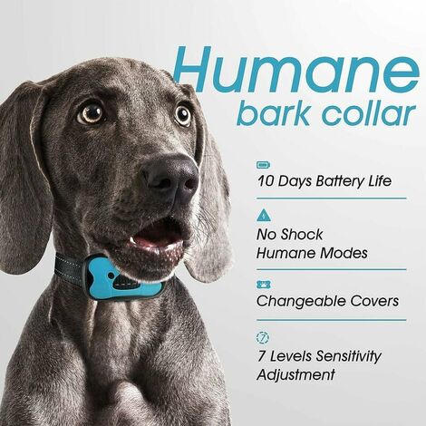 Collier Anti-aboiement Chien Rechargeable Automatique Collier de Dressage avec Son/Vibration sans Choc 7 Niveaux de Sensibilité pour Chiens de Taille Moyenne - Bleu