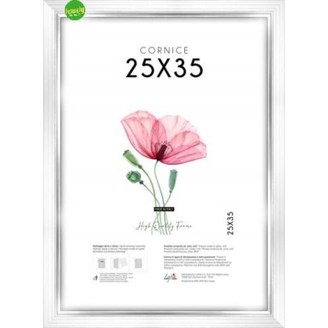 Cornice Lupia WHite Silver 25x35cm