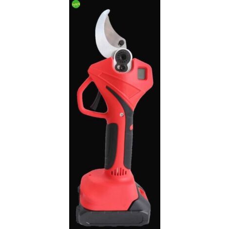 Potatore BlumenGarten 21V 2,0Ah 2 Batterie e Caricatore