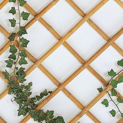 Traliccio bambu 60x240 cm