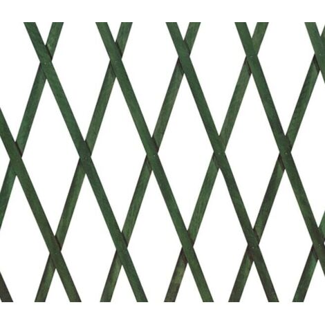 Traliccio in legno verde 300x100 cm