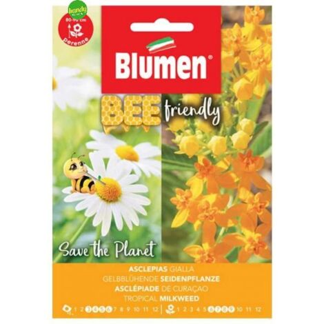 Semi asclepias currassavica bee