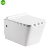 Vaso wc sospeso in ceramica bianca serie pluma con sistema rimfree BARBOTTINA