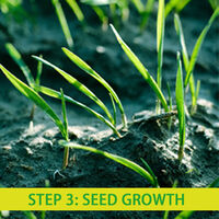 Biodegradable Grass Seed Mat Straw Mat Fertilizer Garden Picnic Lawn Backyard Planting Grow 0.2*1m