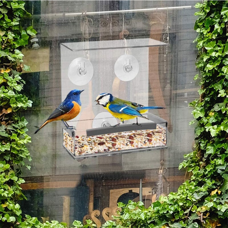 Mangeoires de fenêtre en acrylique transparent, mangeoire à oiseaux  sauvages avec porte-graines et 3 ventouses puissantes, 15,5 x 15 x 5cm