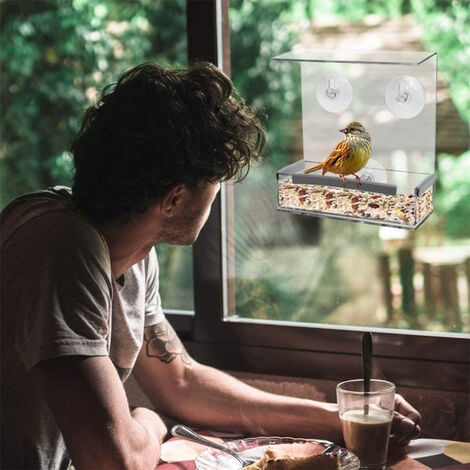 Liangin Mangeoire À Oiseaux Fenêtre Ventouses Extra Puissantes Bac
