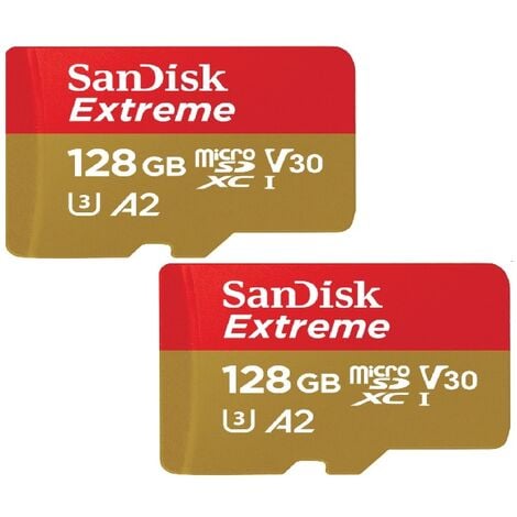 SanDisk Lot de 2 cartes mémoire microSD Nintendo Switch 256 Go