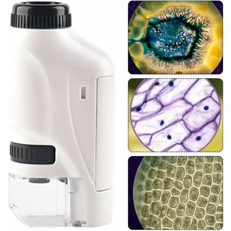 Mini Microscope, Mini Microscope Portable Blanc Pour Les Enfants Pour  L'observation 