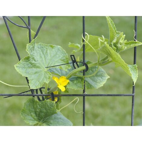 COM-FOUR® 200x Liant végétal en plastique vert - stabiliser les plantes -  pinces à plantes - attache tuteur plante (14 cm)