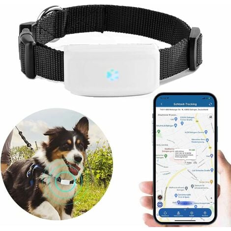 Mini Traceur GPS Animaux, GPS Chien, Traceur GPS Chien Chat Animal