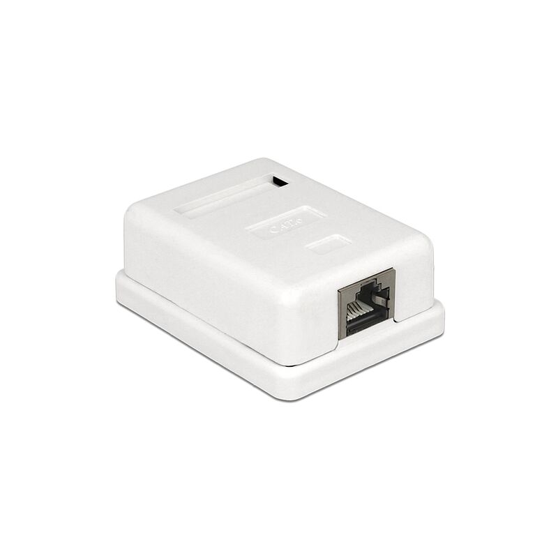 DELOCK 86169 PRESA ENERGIA RJ-45 BIANCO