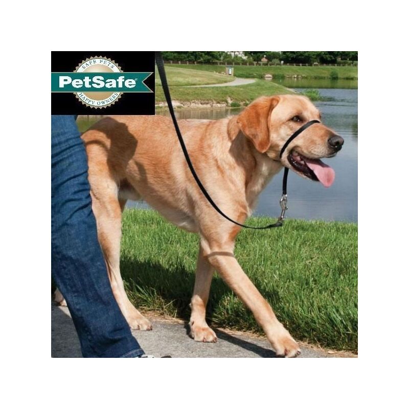 Petsafe Easy Walk collar de cabeza antitirones para perros ajustable acolchado con correa paseo incluida negro s 305ipsewhcsbk45 ronzal pequeño bozal