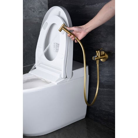 Juego Ducha Higienica Para Wc De Mano, Grifo Bidet