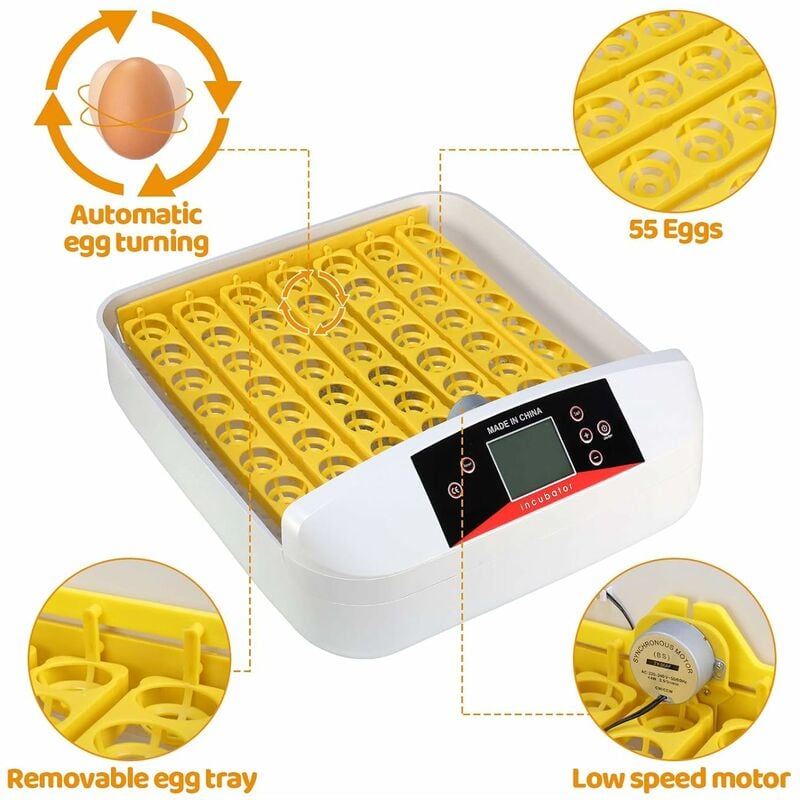Oudannei 30 Ei Inkubator Vollautomatische Brutmaschine Motorbrüter Brutgerät Brutapparat für Hühner und Wachteln Feuchtigkeits Automatische Wender mit Temperaturanzeige 