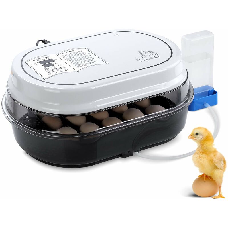 Incubadora de Huevos Automática Volteo, Incubadoras de Pollo de 18 Piezas con Termostato e Higrómetro, para Pollo, Pato, Paloma, Ganso, Codorniz y Otras Aves de Corral o Huevos de Aves de Corral