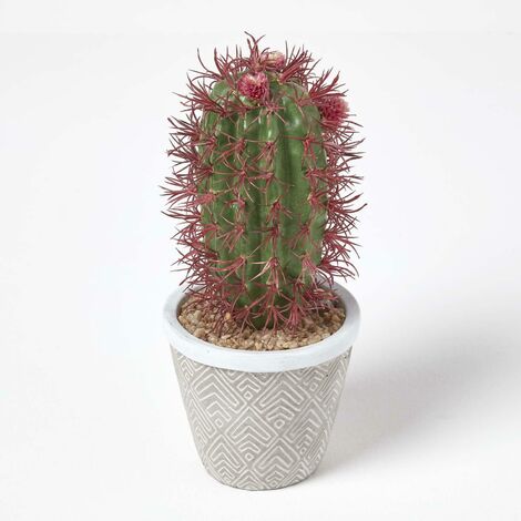 HOMESCAPES Denmoza Artificial Cactus with Flowers in Patterned Pot, 25 cm Tall - Green