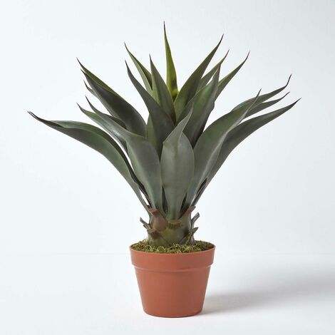 HOMESCAPES Green 'Century Plant' Artificial Agave Americana with Pot, 60 cm