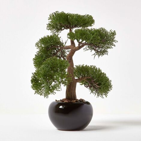 HOMESCAPES Artificial Bonsai Tree in Black Ceramic Pot - Green (1/5)