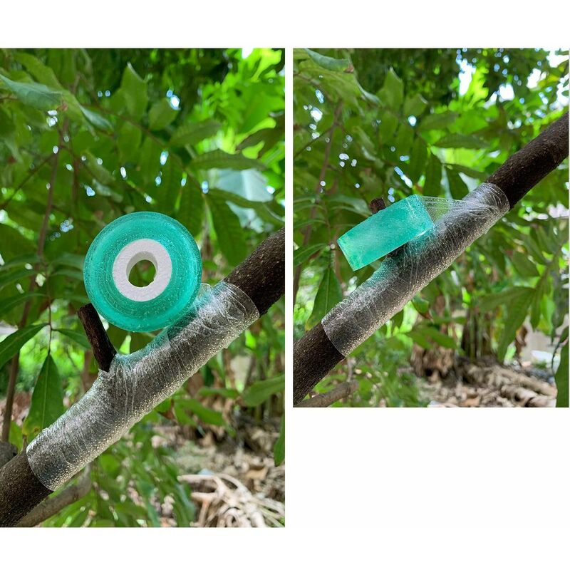 RUBAN DE GREFFE vert transparent pour arbres fruitiers facile à