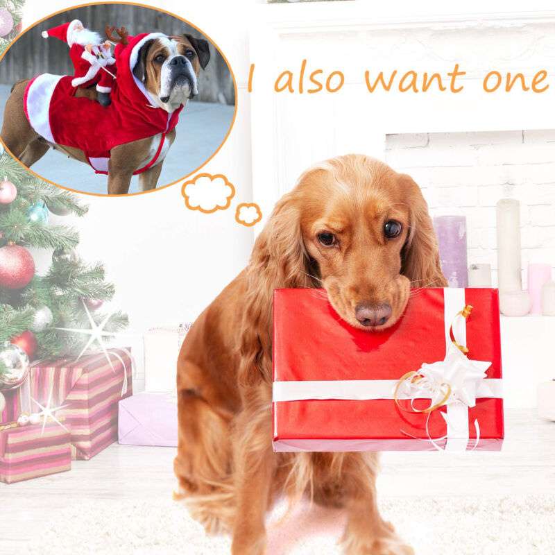 Costume De Renne De Noël Pour Chien - Déguisement Festif Ajustable, Pour Fêtes Et Photos