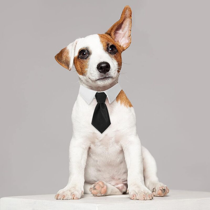 Hongfacai Cravates Pour Hommes Cravate D'affaires Pour Hommes Chien De