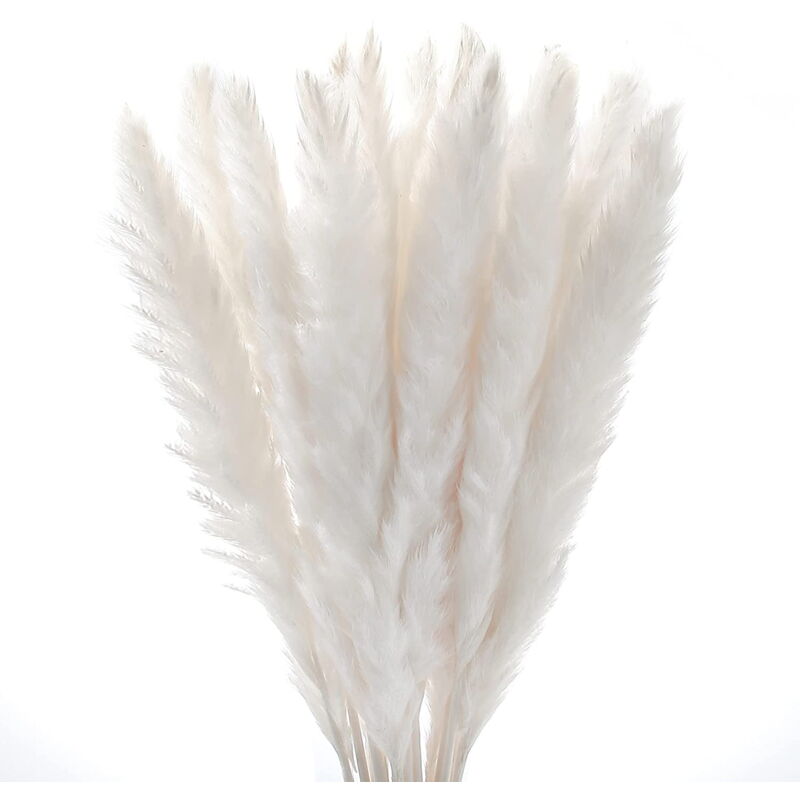 Lot de 10 boas en plumes artificielles colorées de 1,5 m pour femme, costume d'Halloween, mariage, Noël, blanc, 5 ft