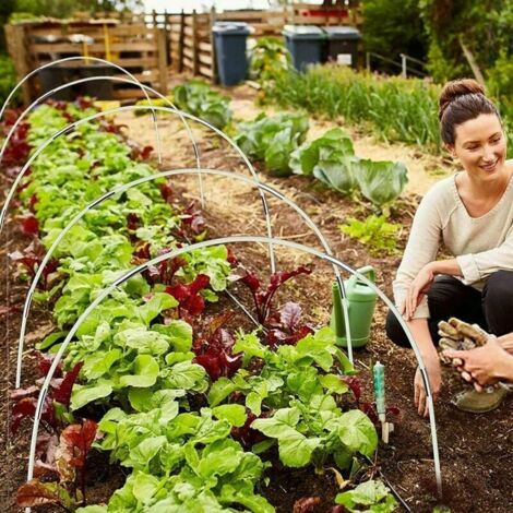 Ensemble de cerceaux de serre pour plantes de jardin, film de