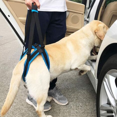 Harnais De Soutien Pour Chien – Écharpe De Transport Réglable Pour Chien âgé, Handicapé Ou En Rééducation – Confort Et Mobilité En Promenade
