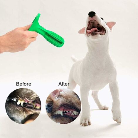 Jouet pour nettoyer les dents du chien - jouet dentaire