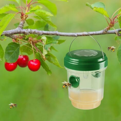 1pc Piège À Mouches Des Fruits Pratique En Plastique Tueur De