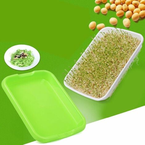 Lot De 6 Plateaux De Germination, Kit De Germination, Plateau