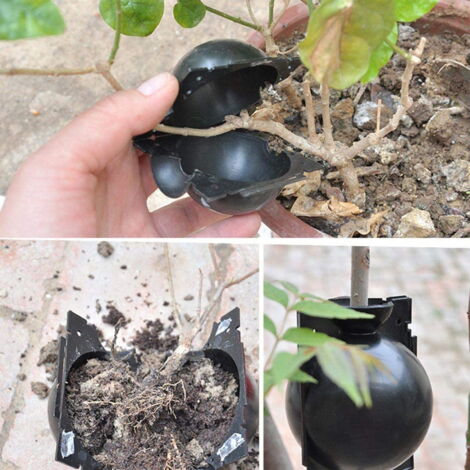 Kit De Propagation Par Marcottage Aérien - 10 Gaines Réutilisables En PP, Diamètre 8 Cm, Pour Jardinage