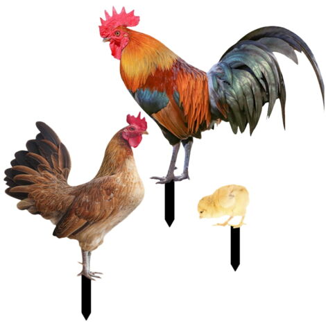 Lot De 2 Décorations Jardin Acrylique Poule Et Coq - Statues Extérieures Résistantes