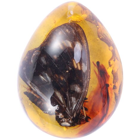 Spécimen D'Ambre Fossile Avec Insecte - Pierre D'Ambre Naturelle Unique Pour Collection Et Décoration