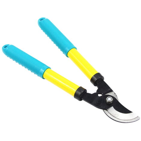 Cisailles de jardin pour la taille des branches d'arbres uitiers en gros, outils de jardinage pour plantes en pot - Chine Ciseaux de coupe de fleurs, ciseaux horticoles