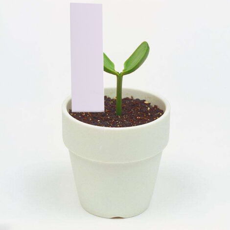 Étiquettes De Jardin De Type T, étiquettes De Tri Des Plantes, Panneau De Tri, Carte De Marquage En Plastique Etanche Etiquettes De Plantes De Pepiniere De Graines De Fleurs 100 Pieces