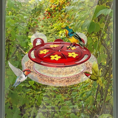 Mangeoire à colibris pour fenêtre à ventouse, mangeoire à colibris pour fenêtre, mangeoire à colibris pour fenêtre, mangeoire à colibris à ventouse solide pour l'extérieur, 5 ports d'alimentation à l'