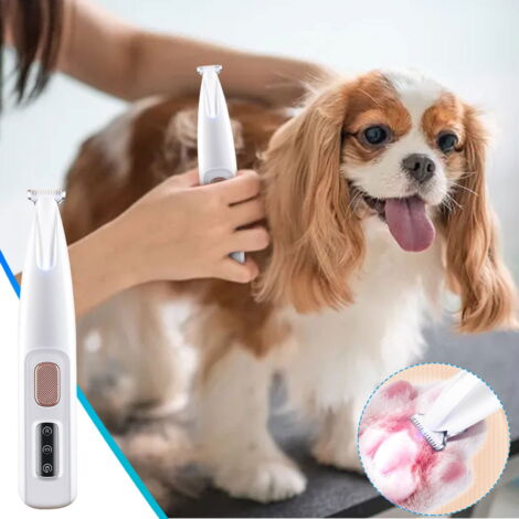 Tondeuse Chien, Tondeuse Pour Chien Rasoir Pour Chiens Chat Faible Bruit Tondeuse Etanche Et Rechargeable Pour Pattes Danimaux Avec Lumiere Led Pour Chat Et Autres Animaux 90542928