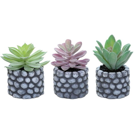 Décoration Maison Plantes Artificielles Lot 3 Succulentes Artificielles Pot Céramique | Plantes Déco Bureau Maison Décoration Maison Sans Entretien